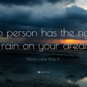download Martin Luther King Jr. Quote: “No person has the right to rain on …