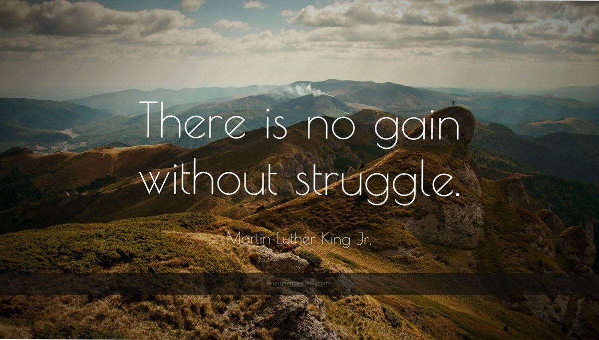 1173 martin luther king jr quote there is no gain without struggle …