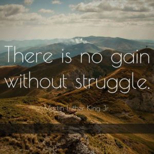 download 1173 martin luther king jr quote there is no gain without struggle …