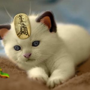 download Pokecats Series 1 Meowth by OwOLinksu on DeviantArt