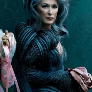 download Download Wallpaper 1080×1920 Into the woods, Meryl streep …