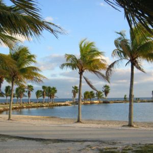 download Windy Miami beach wallpaper – 158920