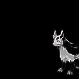 download Mightyena Wallpaper by Phase-One on DeviantArt