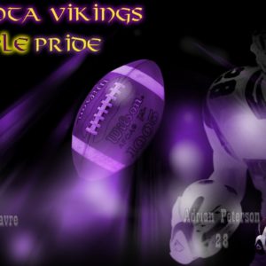download Amazing Minnesota Vikings Best 2018 Collection | Beautiful images HD …