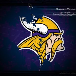 download Minnesota Vikings Wallpaper and Background Image | 1280×1024 | ID:149230