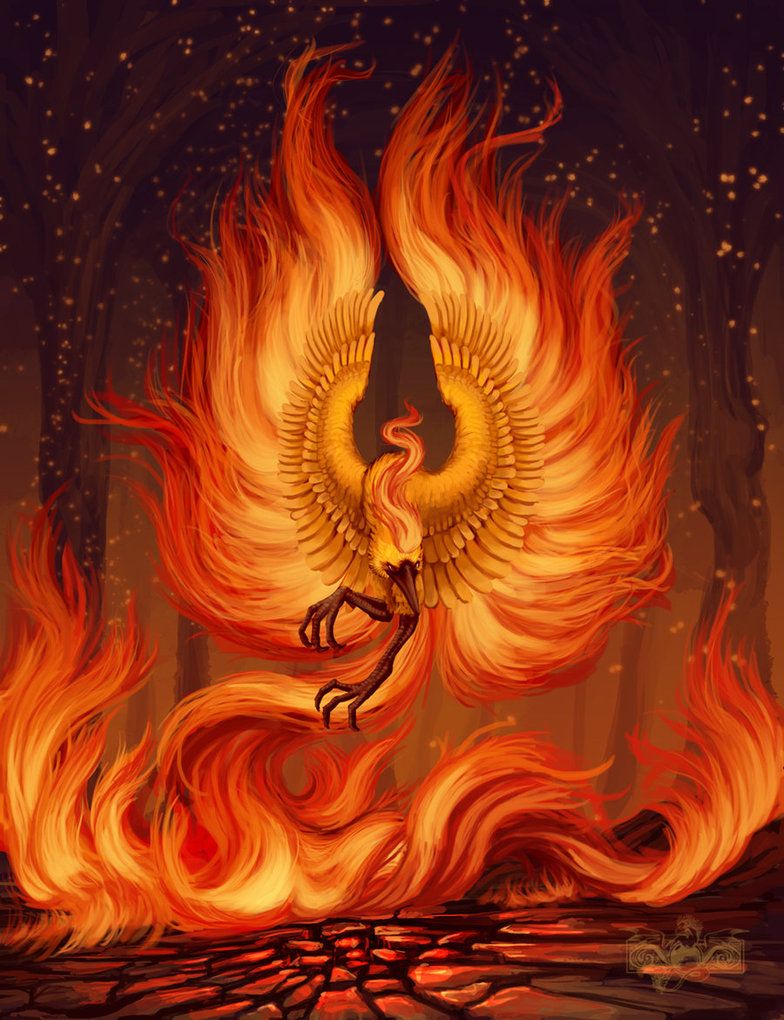 Moltres by Tharalin on DeviantArt