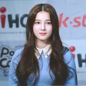 download Nancy at Press Conference for Acting Show