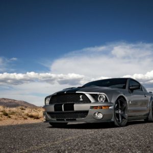 download 446 Mustang Wallpapers | Mustang Backgrounds
