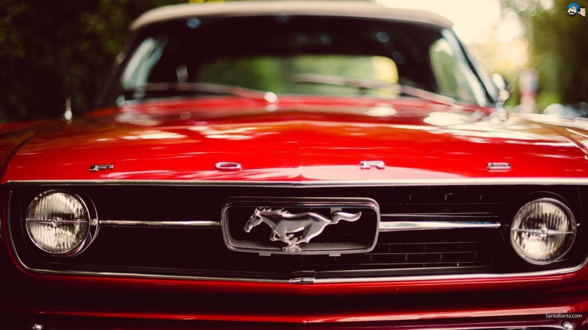 Wallpapers For > Ford Mustang Wallpaper Hd