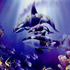 download Beautifull Purple Orca Wallpaper High Resoluti #5219 Wallpaper …
