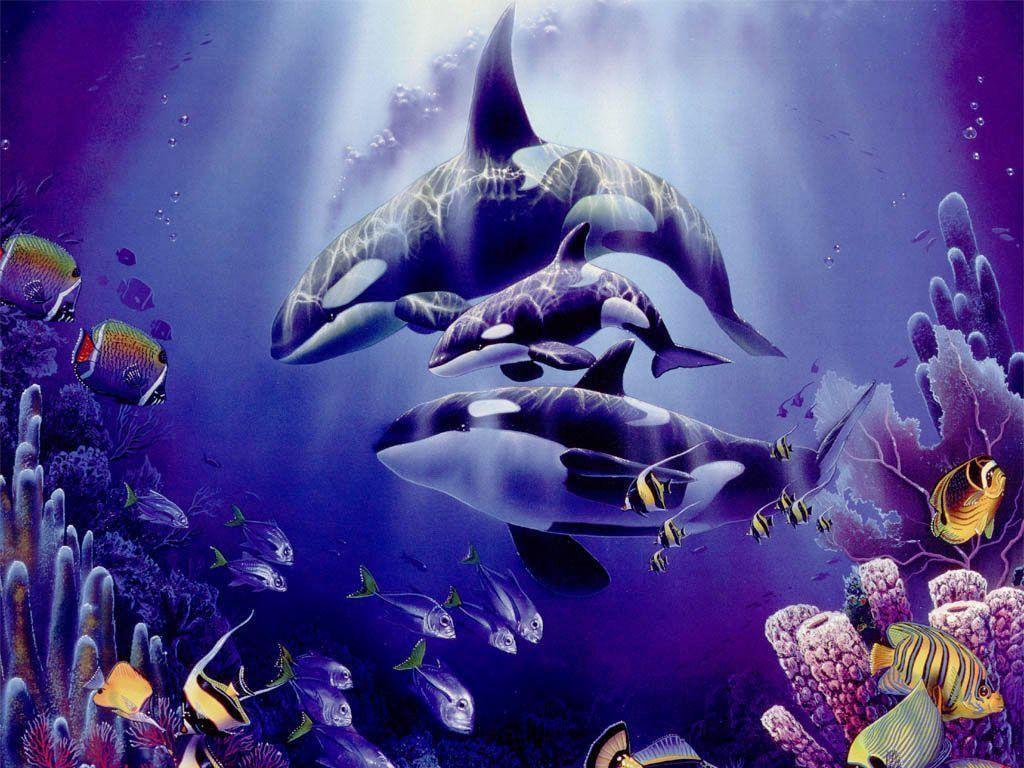 Beautifull Purple Orca Wallpaper High Resoluti #5219 Wallpaper …