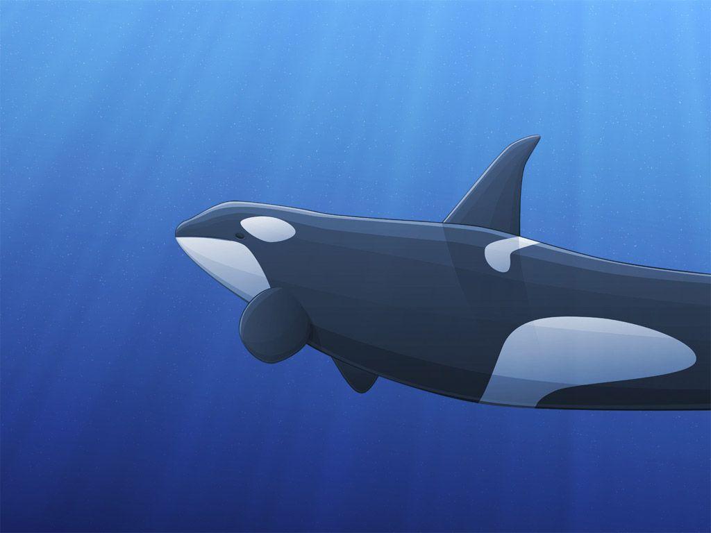 Wallpaper Collections: orca
