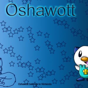download Oshawott Wallpaper by MangaFox156 on DeviantArt