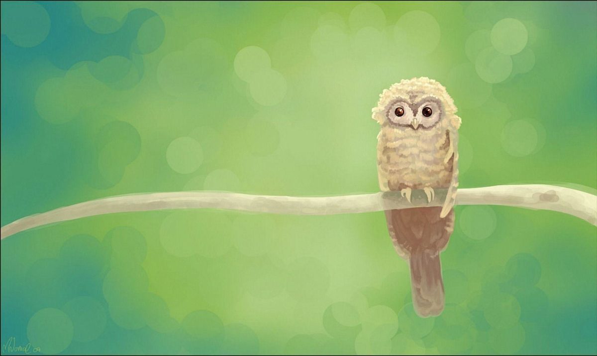 13 Owl Wallpapers | Owl Backgrounds