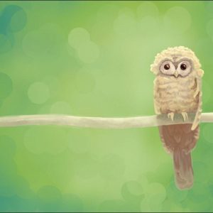 download 13 Owl Wallpapers | Owl Backgrounds