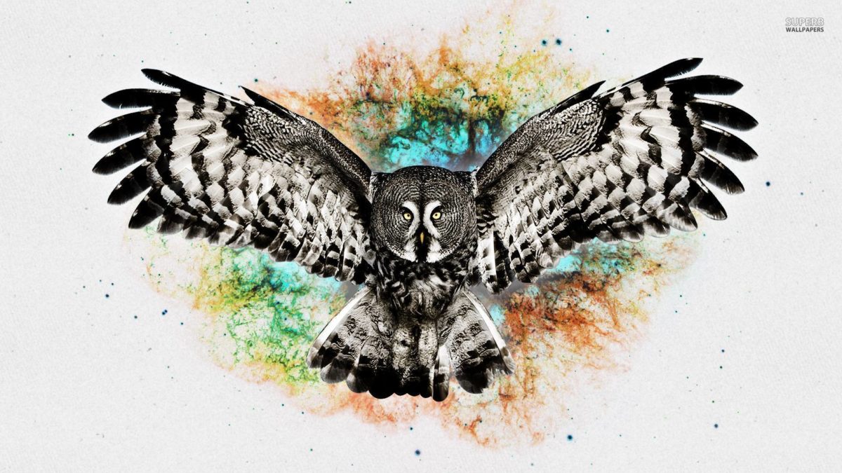 Owl wallpaper – Digital Art wallpapers – #