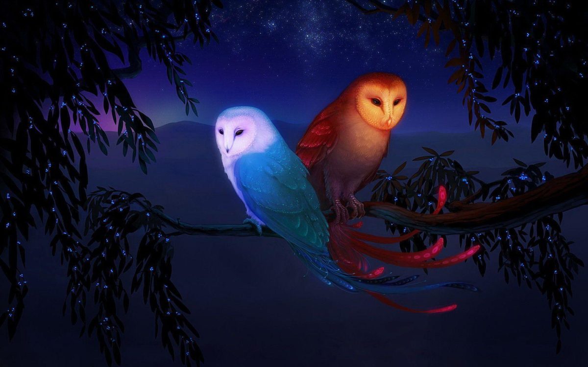 13 Owl Wallpapers | Owl Backgrounds