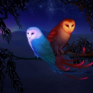 download 13 Owl Wallpapers | Owl Backgrounds