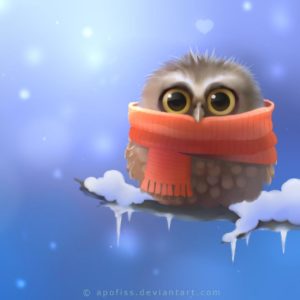download Cute Owl Wallpapers | HD Wallpapers