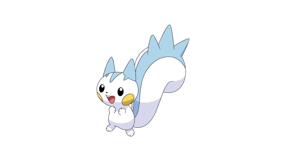 Pachirisu Pokemon 660893 – WallDevil