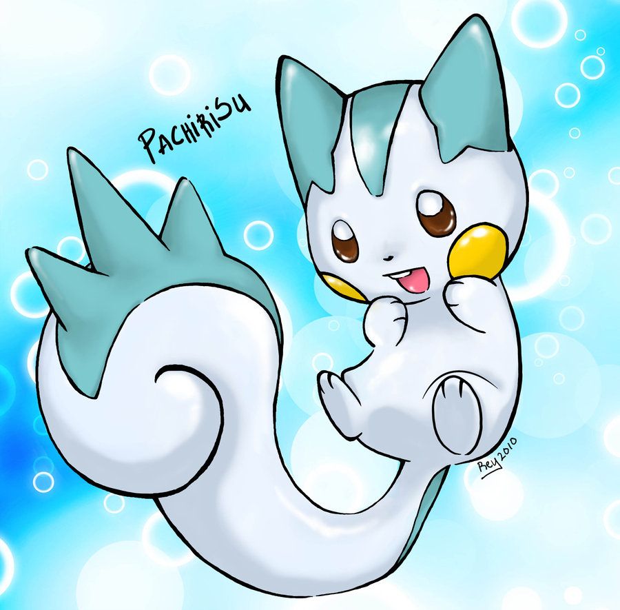 Pachirisu from Pokemon by ReyShaRachelle on DeviantArt