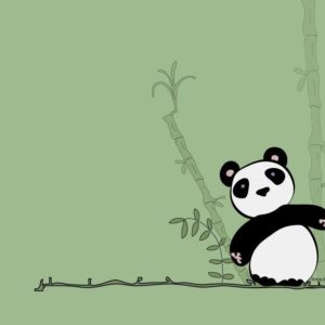 download Panda Wallpapers and Pictures | 94 Items | Page 1 of 4