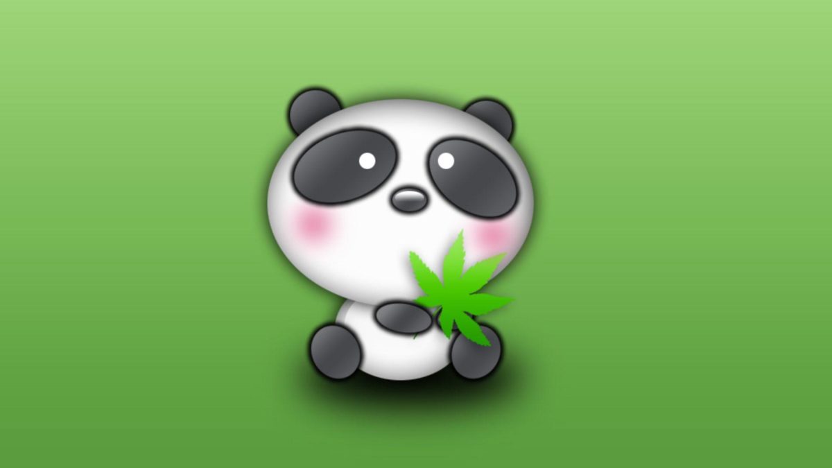 Panda bear desktop wallpapers in HD – Very cute bears from China