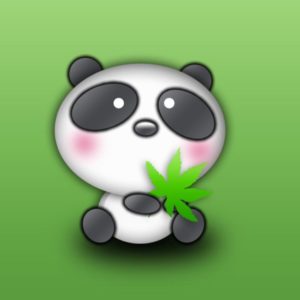 download Panda bear desktop wallpapers in HD – Very cute bears from China