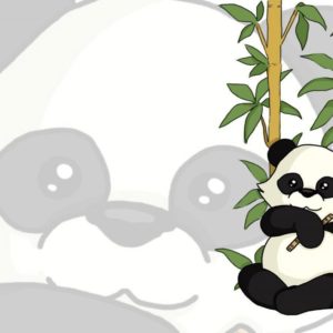 download panda bear wallpaper – DriverLayer Search Engine