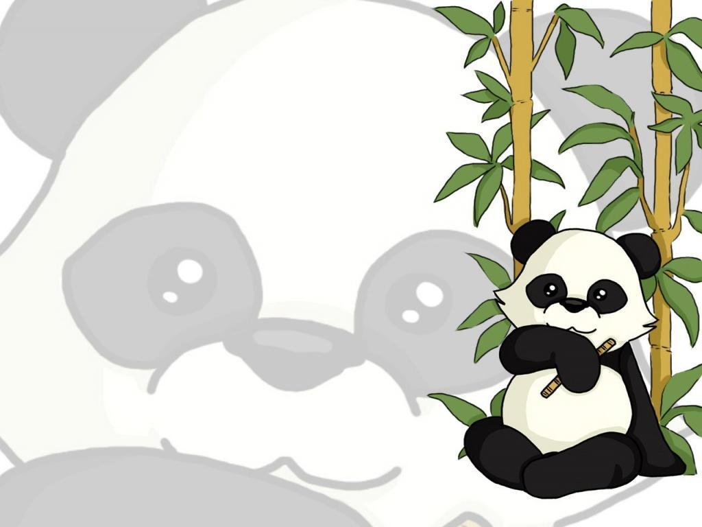 panda bear wallpaper – DriverLayer Search Engine