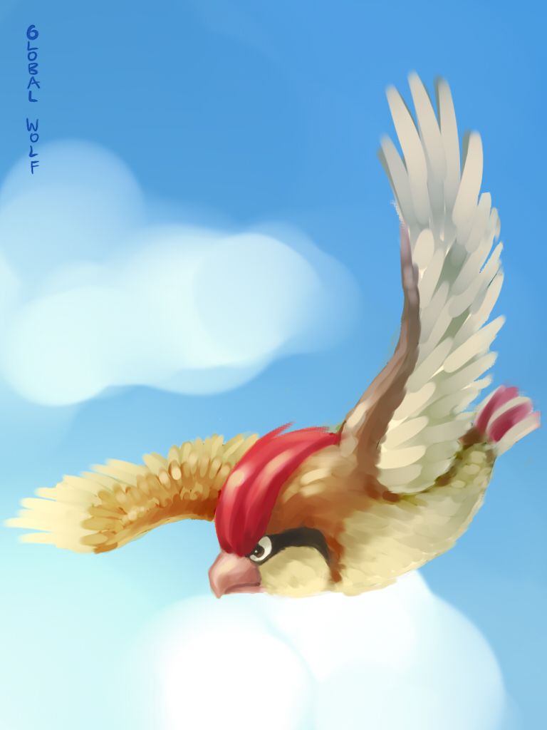 017 Pidgeotto by global-wolf on DeviantArt