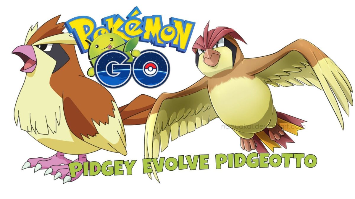 Pokemon GO – PIDGEY evolve PIDGEOTTO – YouTube