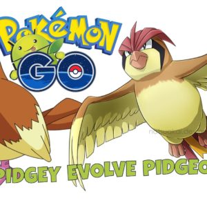 download Pokemon GO – PIDGEY evolve PIDGEOTTO – YouTube