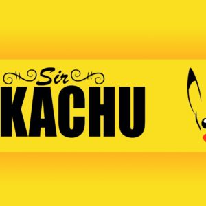 download Pikachu HD Wallpaper | 1920×1080 | ID:45392 – WallpaperVortex.com