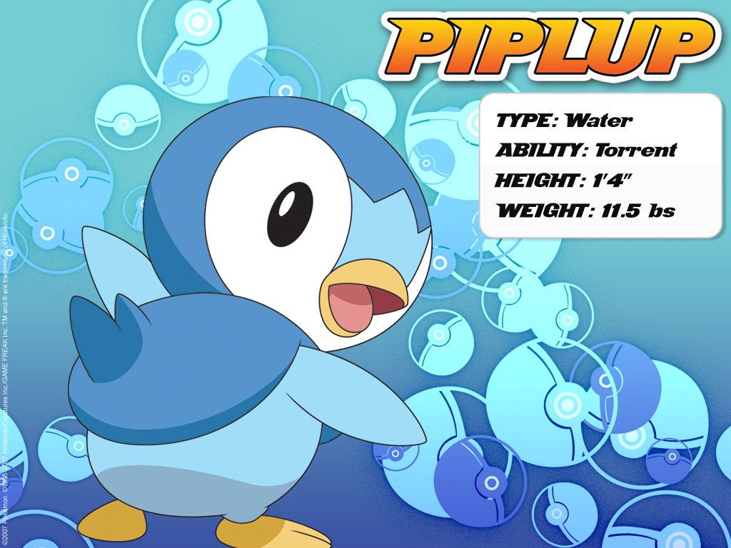 Piplup Wallpapers | 2016 Piplup HDQ Wallpapers
