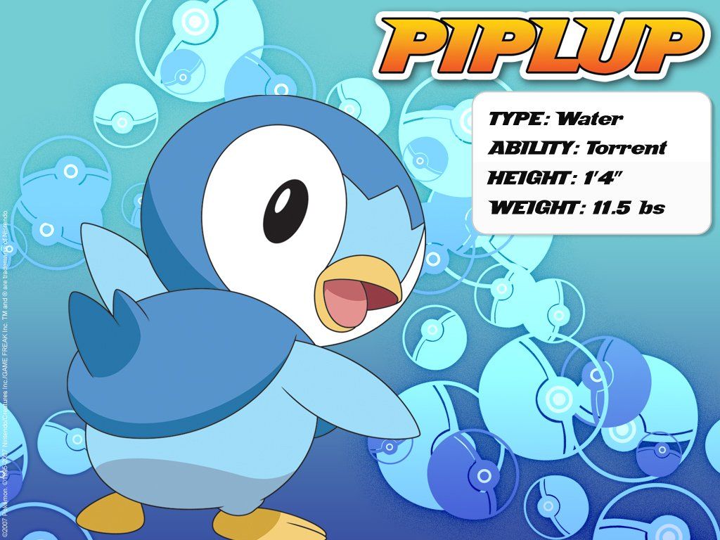 Download Pokemon – Piplup Wallpapers, Pictures, Photos and Backgrounds