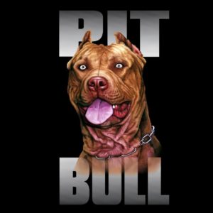 download pit bull dog breed wallpaper – Animal Backgrounds