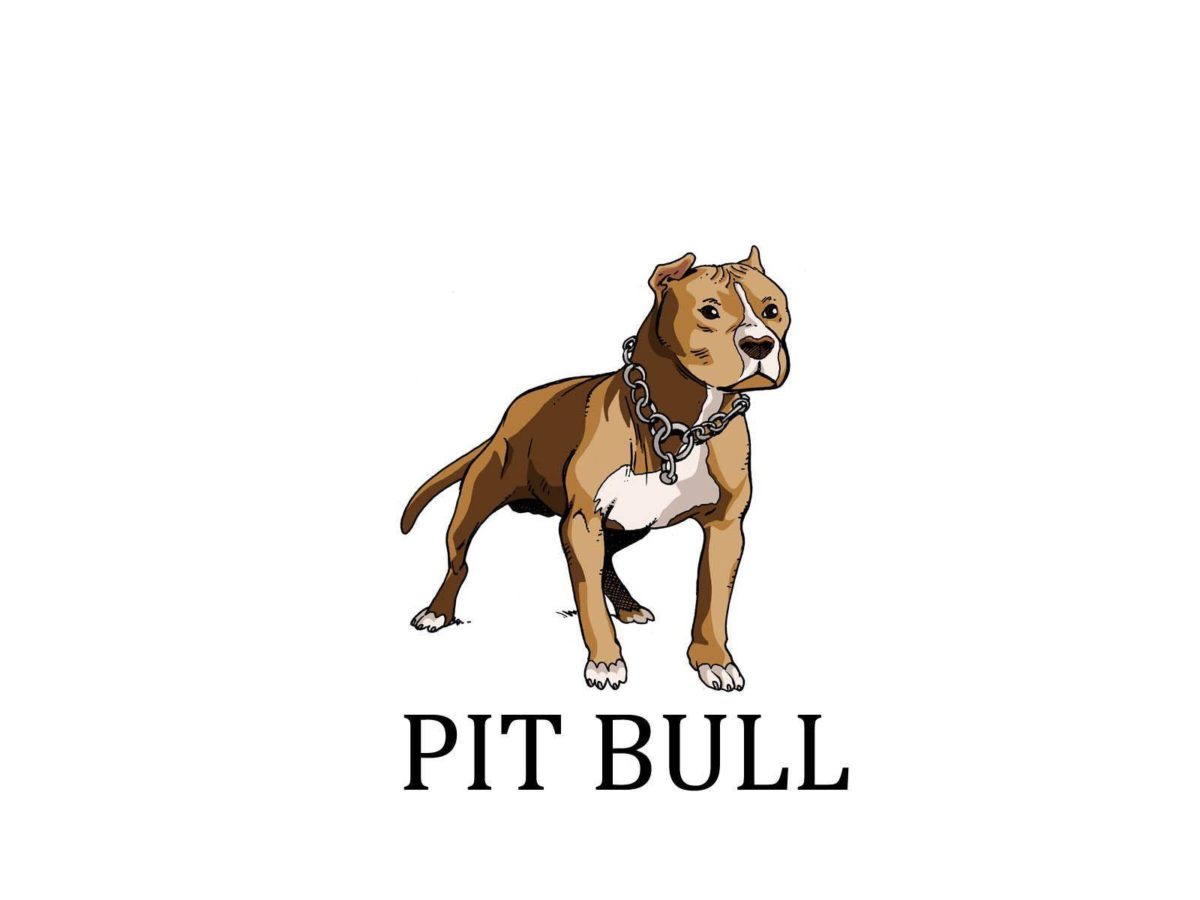 Painted pit bull wallpaper
