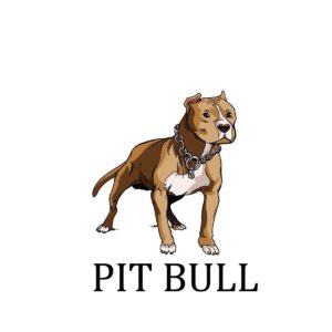download Painted pit bull wallpaper