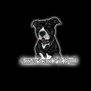 download Pit bull Wallpapers – Pit Bull Mixed – The world of Purebred and …