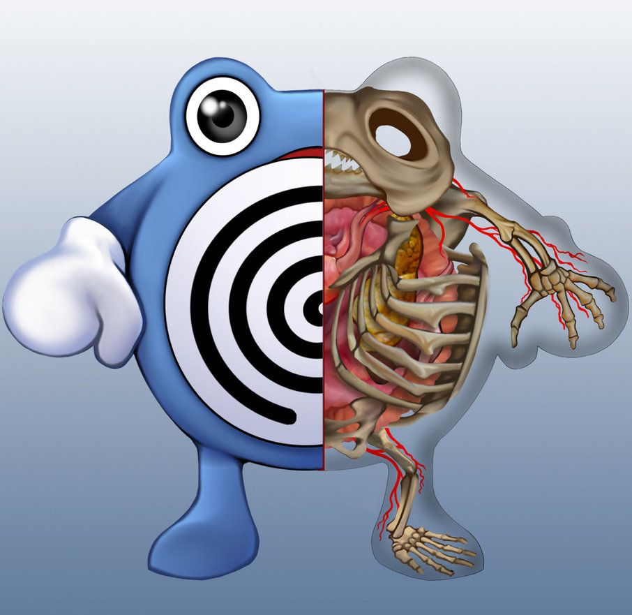 Poliwhirl Anatomy by Christopher-Stoll on DeviantArt