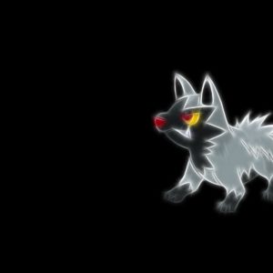 download 5 Poochyena (Pokémon) HD Wallpapers | Background Images – Wallpaper …