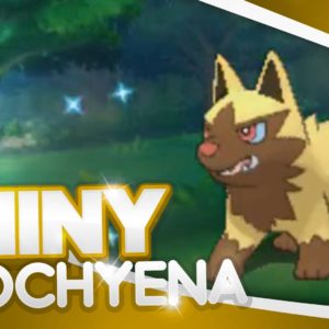 download Pokemon [ORAS] Shiny Hunting – #33 – Chain of 63 SHINY POOCHYENA …