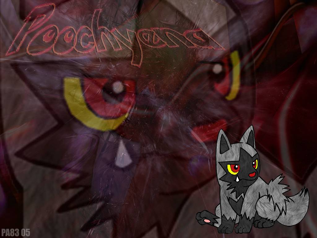 Poochyena Wallpaper – Pokemon Wallpaper
