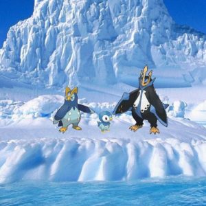 download Piplup images Piplup,Prinplup and Empoleon in Antarctica HD …
