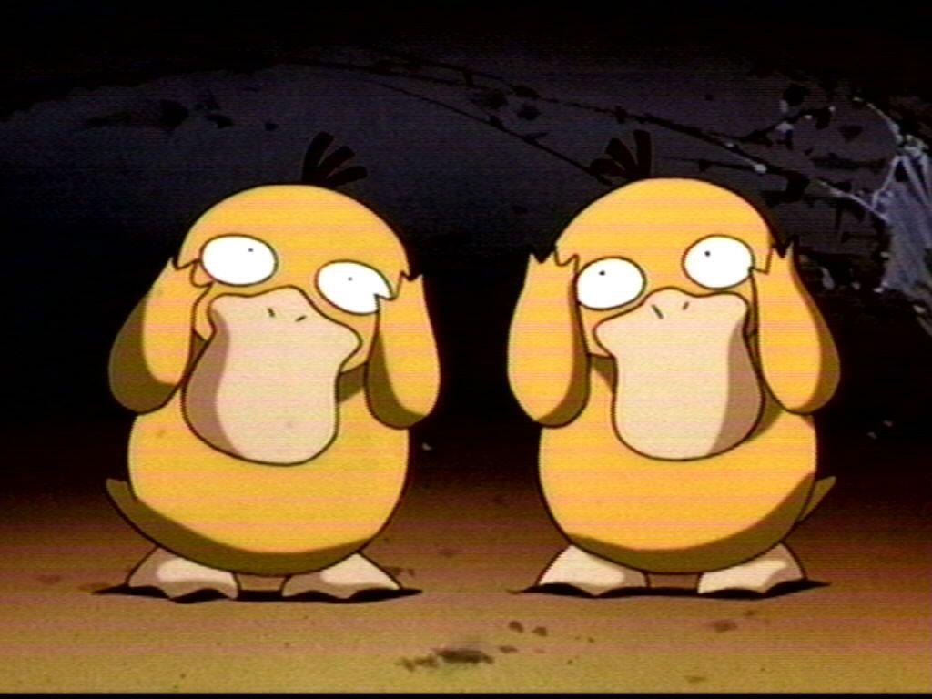 Psyduck images Psyduck HD wallpaper and background photos (466818)