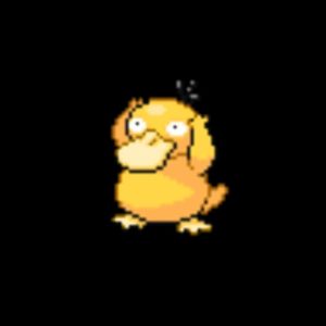 download Psyduck Wallpapers ·①
