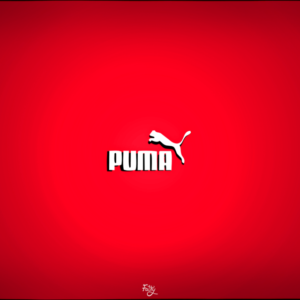 download Puma Wallpaper by neno222 on DeviantArt