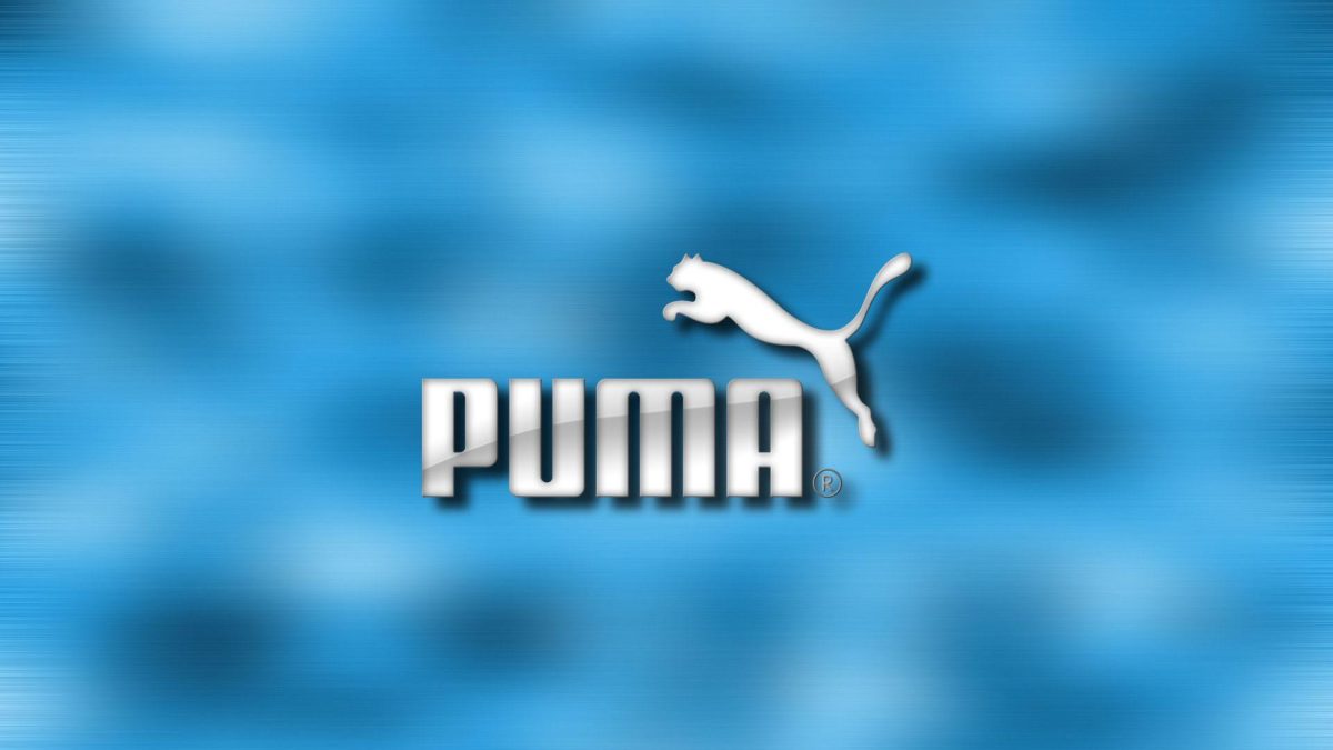 Puma wallpaper – 193679