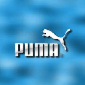 download Puma wallpaper – 193679